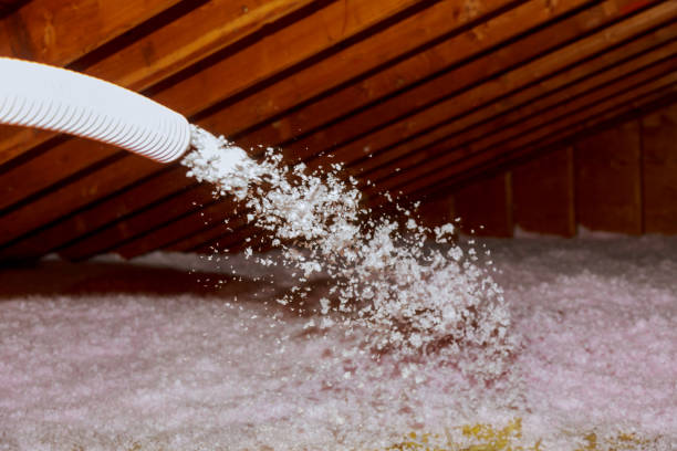 Best Insulation Installation Services in Tonganoxie, KS